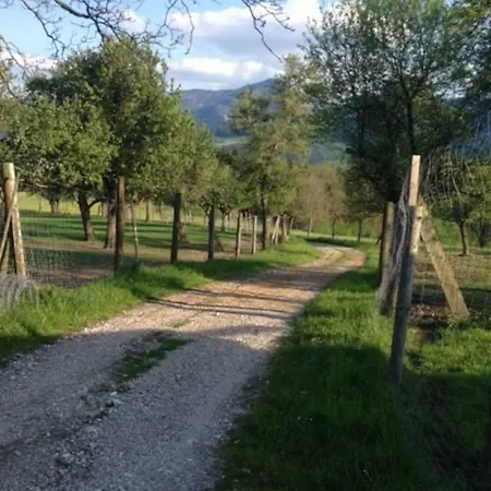 Baeckerberg *